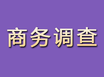 龙岩商务调查